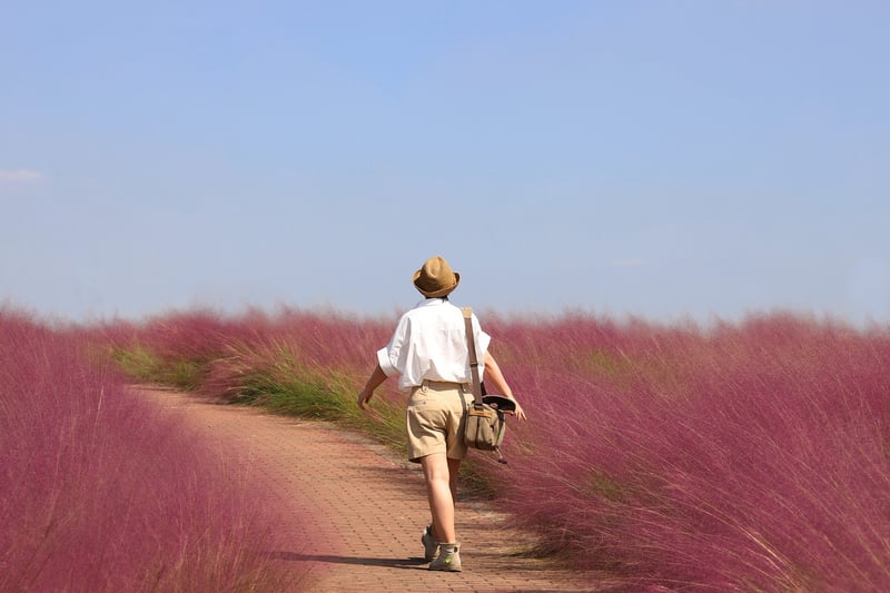Adventure Travel